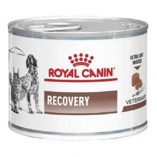 RAÇÃO ÚMIDA RECOVERY CANINE/FELINE PARA RECUPERAÇÃO 